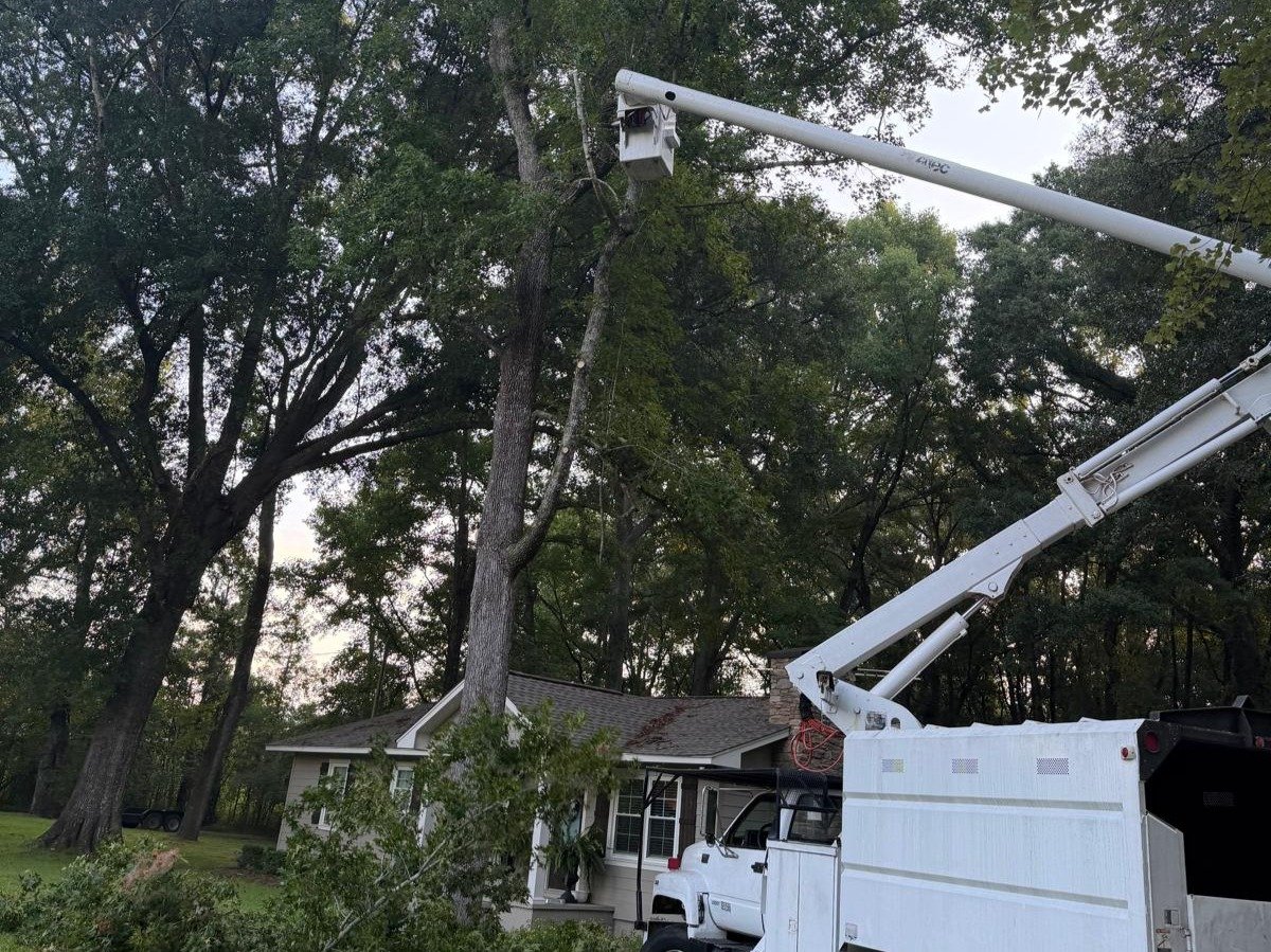 El Costeño Tree Service LLC